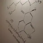 Pharmacy-loft Lejlighed